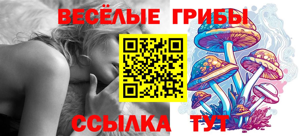 Галлюциногенные грибы Cubensis Нижний Новгород